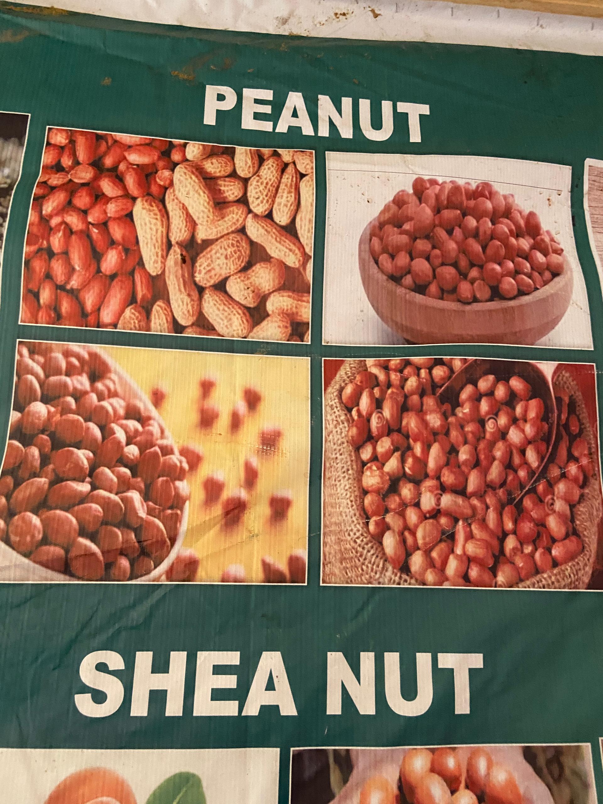 Peanut