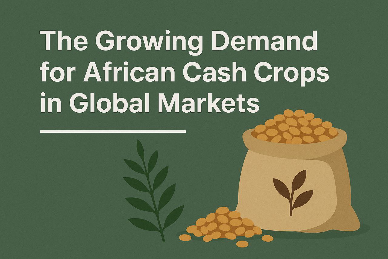 The Growing Demand for African Cash Crops in Global Markets featured image