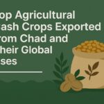 Top Agricultural Cash Crops Exported from Chad and Their Global Uses featured image